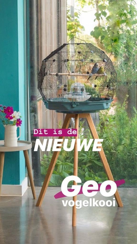 Omelet Geo vogelkooi zgan, Ophalen