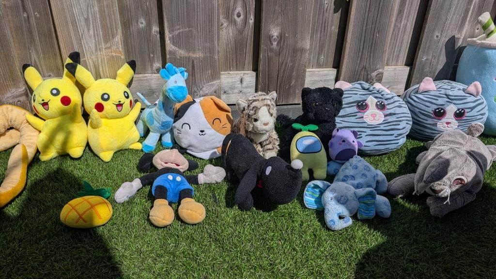 Grote collectie knuffels: Pokémon, Disney en meer!, Ophalen, Gebruikt, Overige merken, Disney