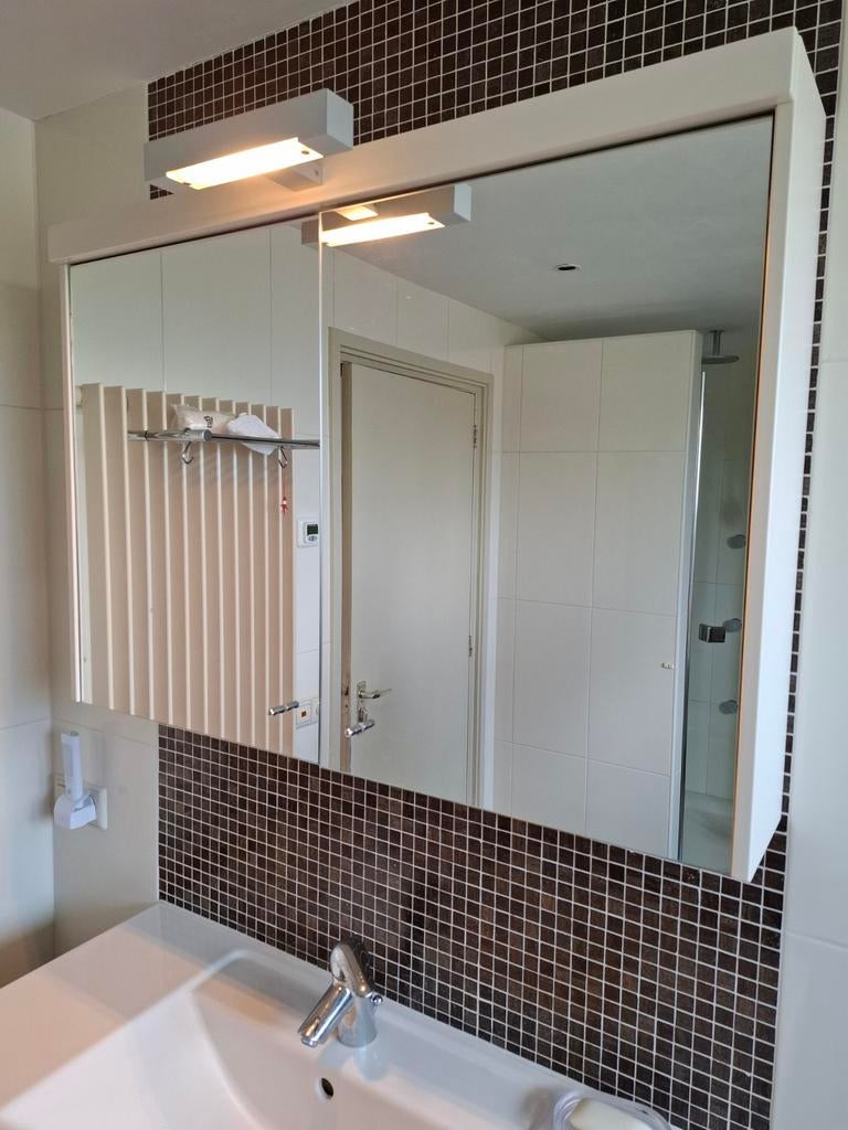 Detremmerie Spiegelkast Badkamer - 100x71x16 cm, Ophalen