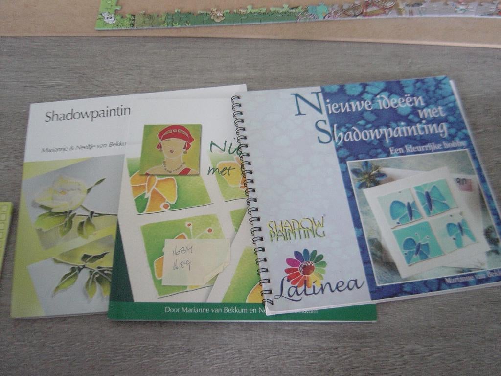 Shadow painting, Ophalen of Verzenden, Zo goed als nieuw, Overige typen