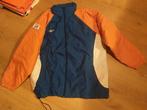 TeamNL NOC*NSF herfstjas jas - oranje, Maat 38/40 (M), Oranje, Zo goed als nieuw, Speedo