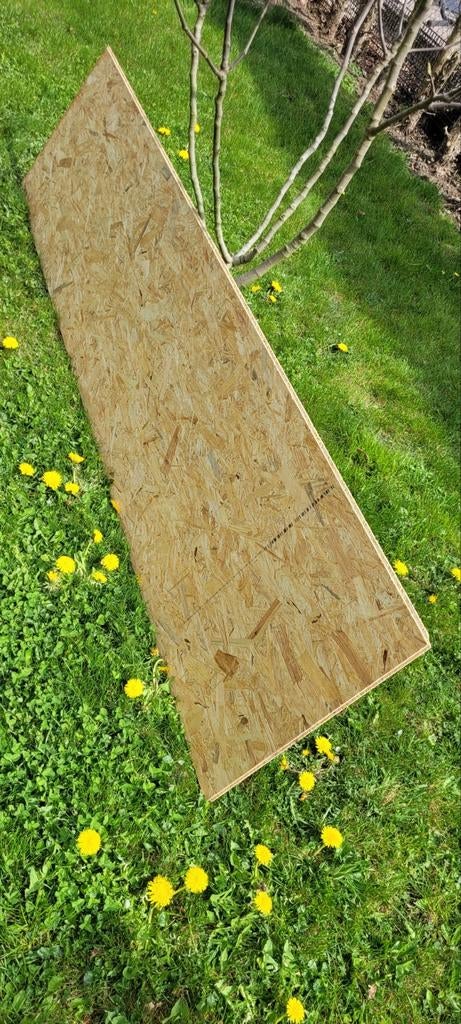 10 nieuwe osb platen 12mm dik, 244 x 60, Minder dan 25 mm, Nieuw, Ophalen of Verzenden, 200 tot 250 cm