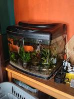 Superfish aqua panorama 60liter, Ophalen