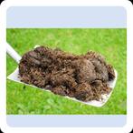 Paarden mest gratis afhalen., Tuin en Terras, Aarde en Mest, Ophalen