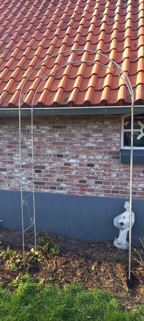 Rozenbogen, Minder dan 150 cm, Ophalen, Markies