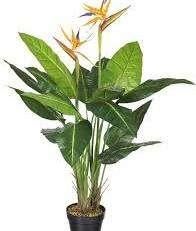 Nieuw in doos kunstplant Strelitzia paradijsvogel, Ophalen of Verzenden, Nieuw, Binnen