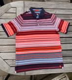 Gestreept poloshirt, wijnrood/koraal/blauw, mt L, Ophalen of Verzenden, Zo goed als nieuw, Maat 52/54 (L), Blauw