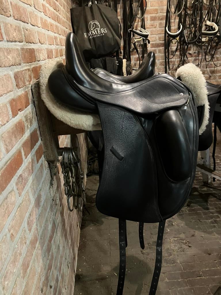 Custom Gemini, Ophalen, Gebruikt, Dressuur