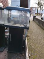 Aquarium 60 cm, Dieren en Toebehoren, Ophalen, Leeg aquarium