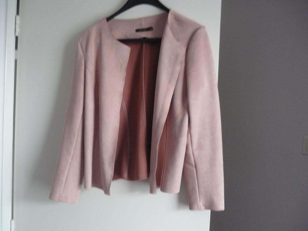 jasje, Ophalen of Verzenden, Zo goed als nieuw, Maat 46/48 (XL) of groter