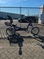 Van Raam driewieler, Ophalen of Verzenden, Zo goed als nieuw