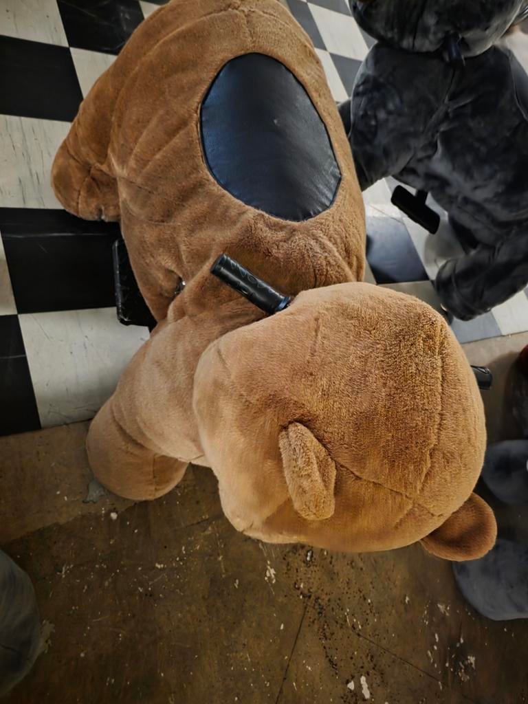 Rijdbare knuffelbeer met muntinworp, Ophalen, Zo goed als nieuw, Jongen of Meisje