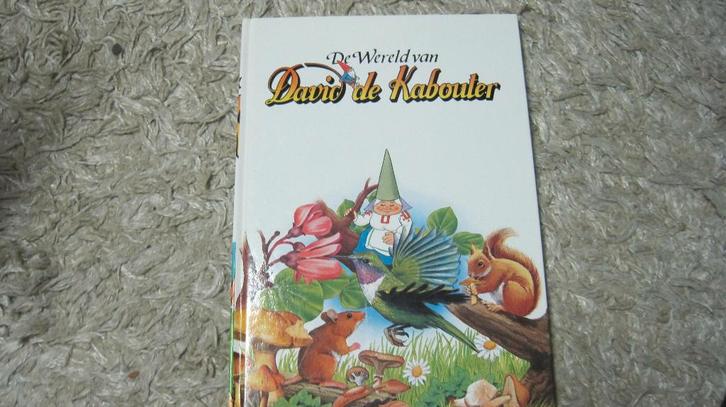 De wereld van David de Kabouter, Boeken, Kinderboeken | Kleuters, Zo goed als nieuw, Non-fictie, 4 jaar, Jongen of Meisje, Ophalen of Verzenden