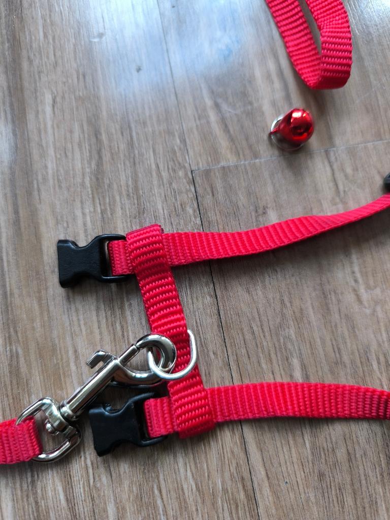 kitten/kleine hond tuigje met riem, Dieren en Toebehoren, Ophalen of Verzenden, Zo goed als nieuw