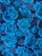 Grote coupon met rozen (340/162 cm.), Overige materialen, Overige kleuren, 120 cm of meer, Ophalen of Verzenden