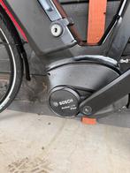 Kalkhoff Image 5.B Move met Bosch Active Line Plus 625Wh, Ophalen of Verzenden, Nieuw, 50 km per accu of meer, Overige merken