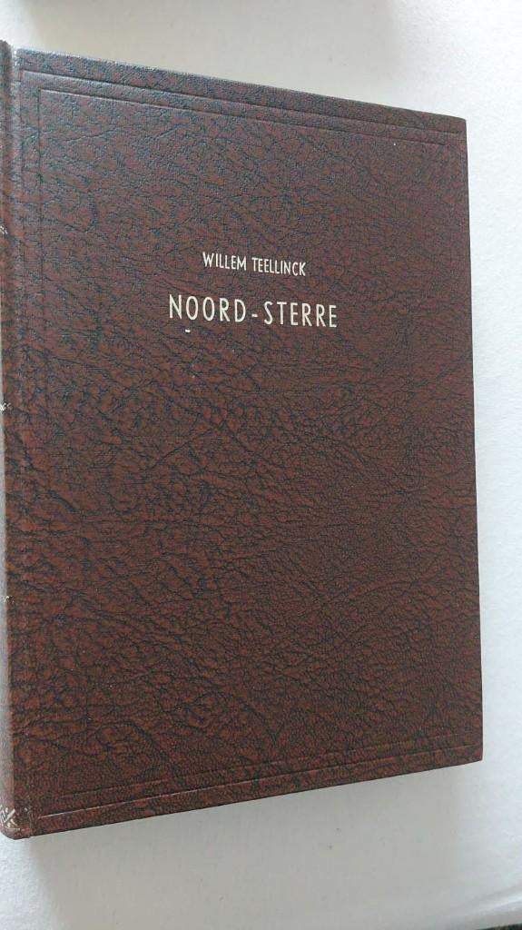 W. Teellinck Noord-sterre, Boeken, Godsdienst en Theologie, Christendom | Protestants, Zo goed als nieuw, Willem Teellinck, Ophalen of Verzenden