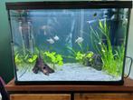 Aquarium 100l, Dieren en Toebehoren, Vissen | Aquaria en Toebehoren, Ophalen, Gebruikt, Gevuld zoetwateraquarium