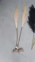 Decoratieve pluimen in verschillende kleuren, Ophalen