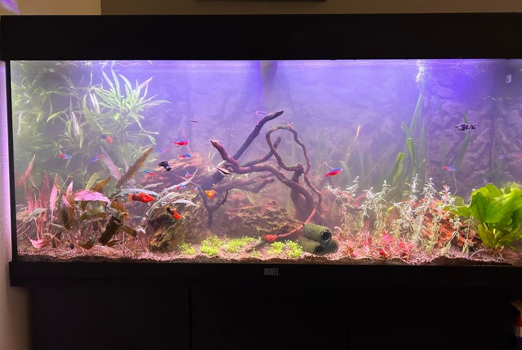 Aquarium juwel+meubel, Ophalen, Gebruikt, Leeg aquarium