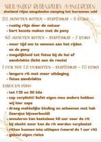 Buitenritjes aangeboden op shetlander!, Ophalen, Nieuw