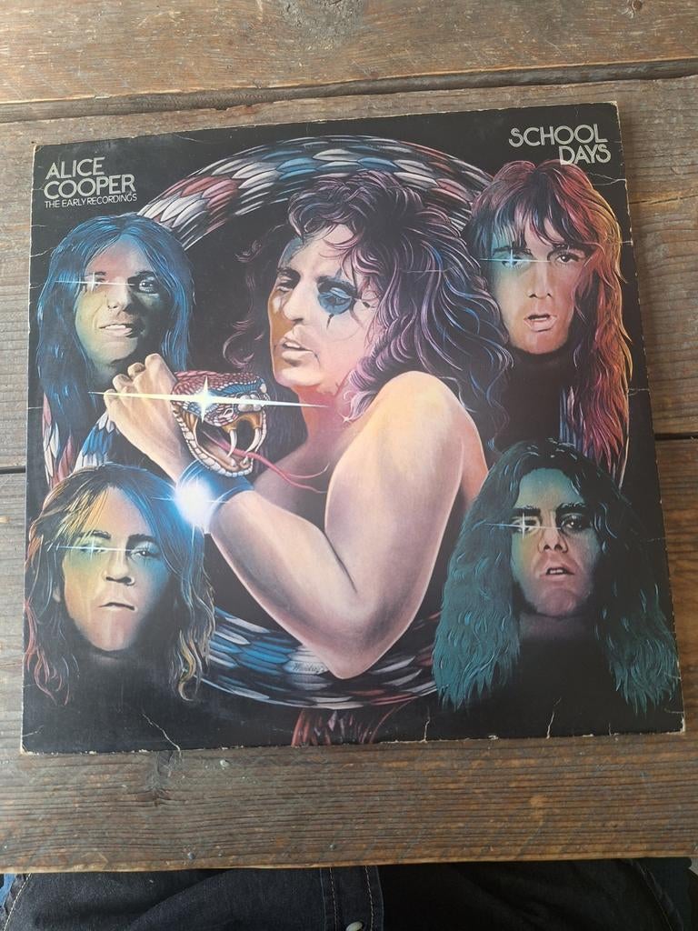 Alice Cooper - School Days WB 66021 NL 1973, Ophalen of Verzenden, Gebruikt, 12 inch, Poprock