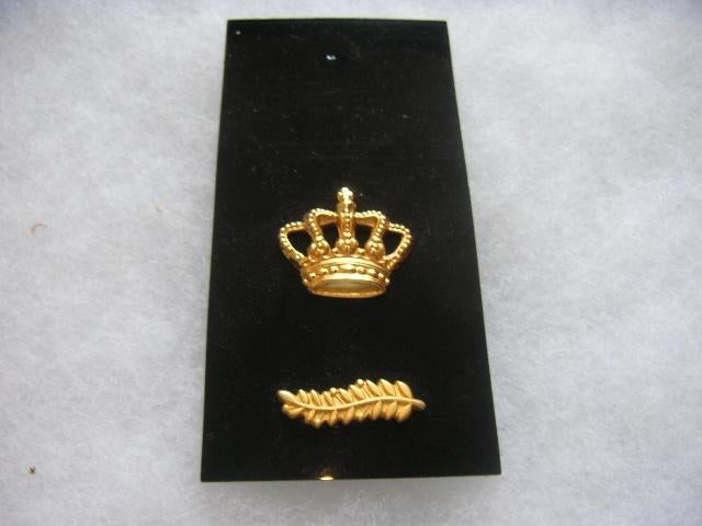 Gezocht: Rangen insignes setje goudkleurig, Verzenden, Marechaussee, Nederland, Embleem of Badge