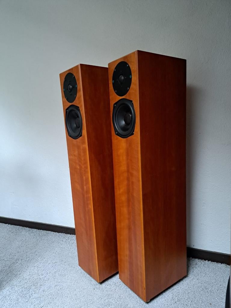 Totem Staff luidsprekers met spikes, Audio, Tv en Foto, Luidsprekers, Overige merken, Ophalen of Verzenden, Zo goed als nieuw