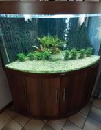 Juwel hoek aquarium 87 x 87 x 65 cm, Ophalen of Verzenden, Leeg aquarium