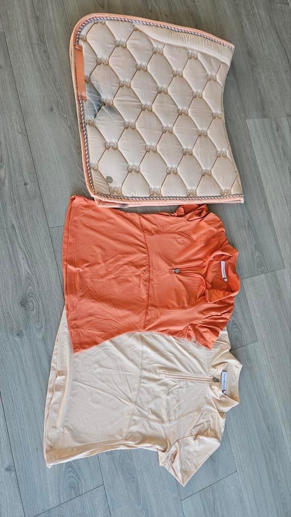 Heel veel sets psofsweden lemieux dressuur Full M/38, Ophalen of Verzenden