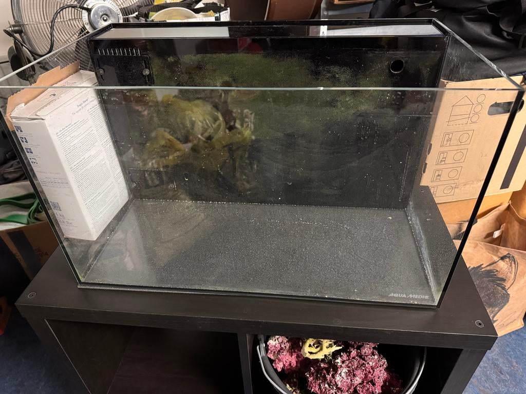 Compleet zeeaquarium, Dieren en Toebehoren, Ophalen, Gevuld zeewateraquarium