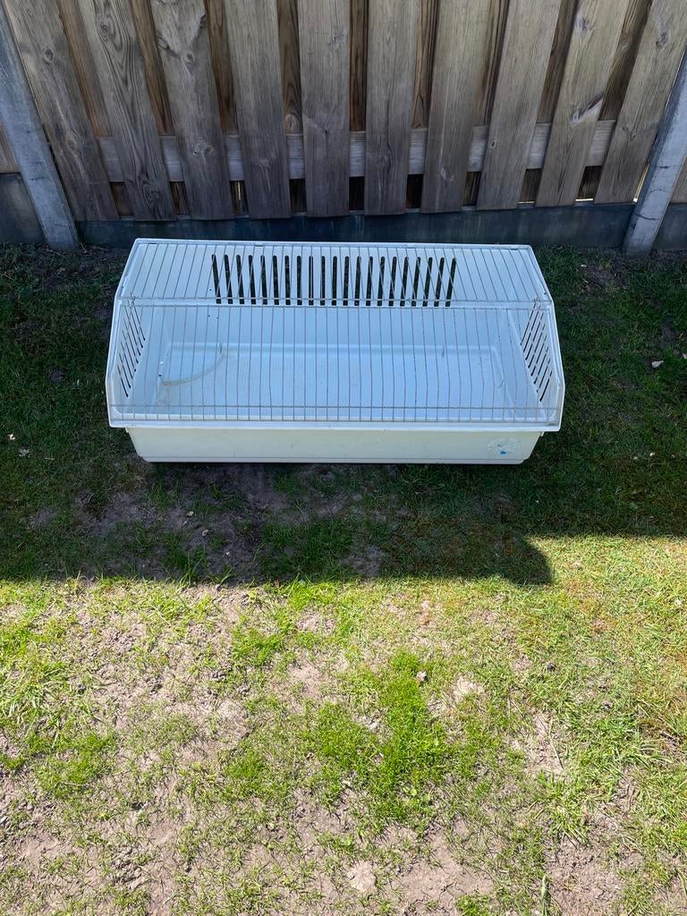 Binnenhok konijn , cavia gratis, Dieren en Toebehoren, Minder dan 60 cm, Kooi, Ophalen of Verzenden, 75 tot 110 cm