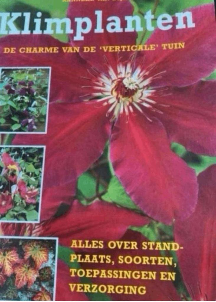 KLIMPLANTEN HANNEKE VAN DIJK, Boeken, Verzenden, Zo goed als nieuw, Tuinieren en Tuinplanten