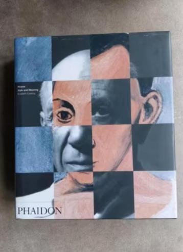 Picasso Style and Meaning door E. Cowling beschikbaar voor biedingen