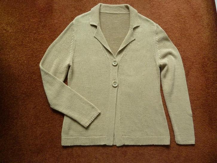 Zandkleurig vest maat L nog splinternieuw, Kleding | Dames, Truien en Vesten, Zo goed als nieuw, Maat 38/40 (M), Ophalen of Verzenden