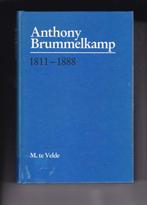 Velde, M. te – Anthony Brummelkamp 1811-1888 (proefschrift), Boeken, Ophalen of Verzenden, Gelezen, Velde, M. te, Christendom | Protestants