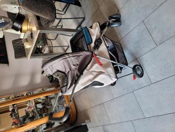 Hondenbuggy Beezteez in goede staat  beschikbaar voor biedingen