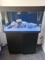 Compleet aquarium, Ophalen, Gebruikt, Verlichting of Verwarming