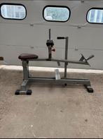 Panatta plate loaded calf raise / Seated calf machine, Ophalen, Benen, Gebruikt, -