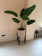 Strelitzia kunstplant in pot met metalen onderstel, Huis en Inrichting, Woonaccessoires | Kunstplanten en Kunstbloemen, Ophalen