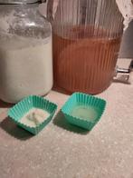 Mini Jun scoby en mini zakje melk kefir korrels, Diversen, Levensmiddelen, Verzenden