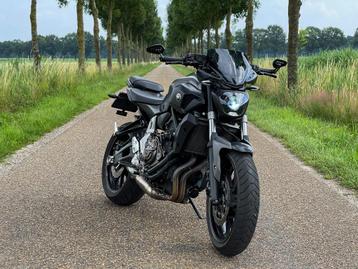 Yamaha MT07 | Akrapovic | Xenon beschikbaar voor biedingen
