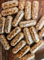 Aquariumbodemcapsules plantenvoeding - ook verzenden, Ophalen of Verzenden, Nieuw, Plant(en), Steen of Hout