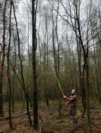 Tuin onderhoud / hovenier inheemse bomen en planten, Tuin en Terras, Ophalen of Verzenden