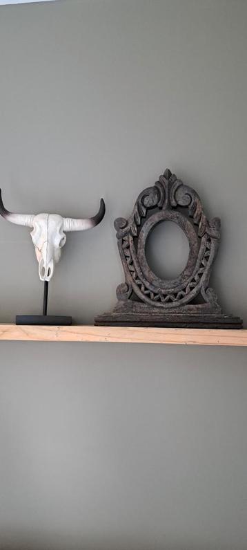 Skull, schedel stier op voet  beschikbaar voor biedingen