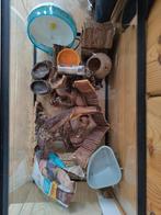 Terrarium 80x40x40, Ophalen, Gebruikt, Terrarium of Paludarium