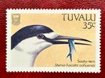 Bonte stern - Tuvalu - 1988, Verzenden, Postfris, Dier of Natuur