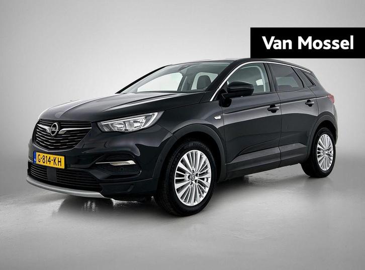 Opel Grandland X 1.2 Turbo Business Executive, Auto's, Opel, Bedrijf, Te koop, Grandland X, ABS, Achteruitrijcamera, Airbags, Airconditioning