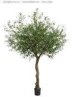 🔥 De Ferrari onder de olijfbomen – Kunst / Zijde 🔥, Huis en Inrichting, Binnen, Nieuw, Ophalen of Verzenden, 123olijfbomen.nl