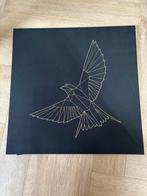 Schilderij - Vogel - 56,5 x 56,5 cm, Ophalen, Zo goed als nieuw, Schilderij, 50 tot 75 cm